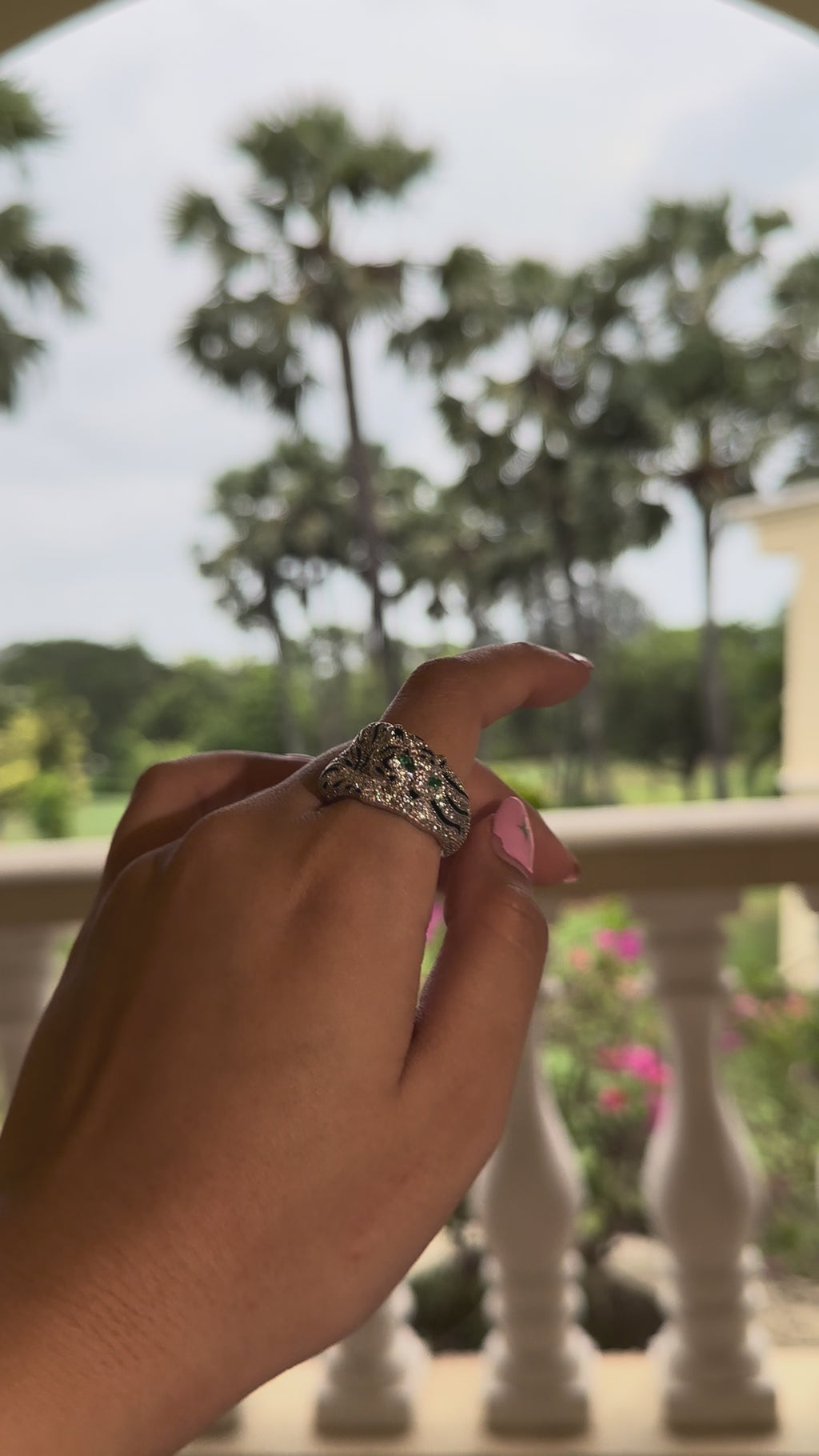 The Guardian Ring