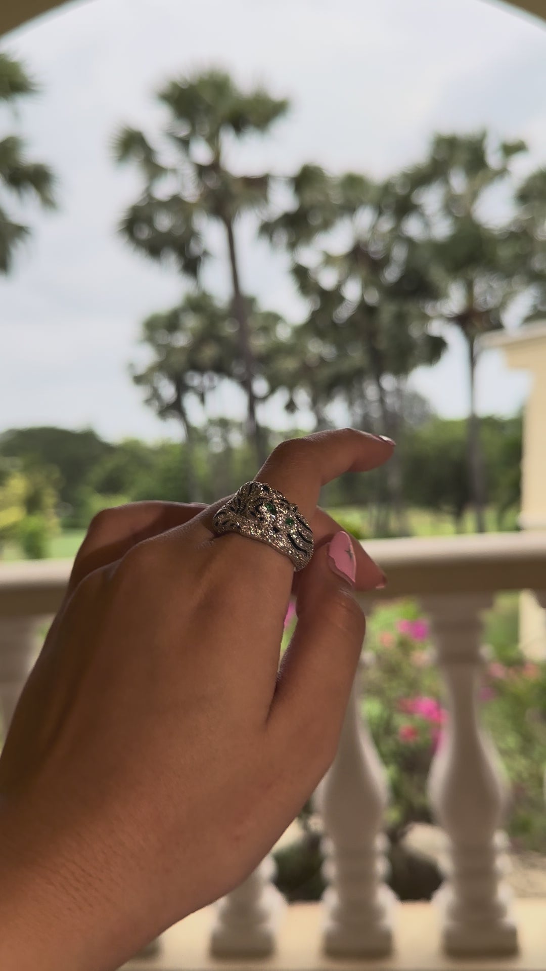 The Guardian Ring